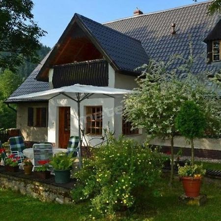 Agroturystyka Pod Jesionami Lądek-Zdrój Kültér fotó